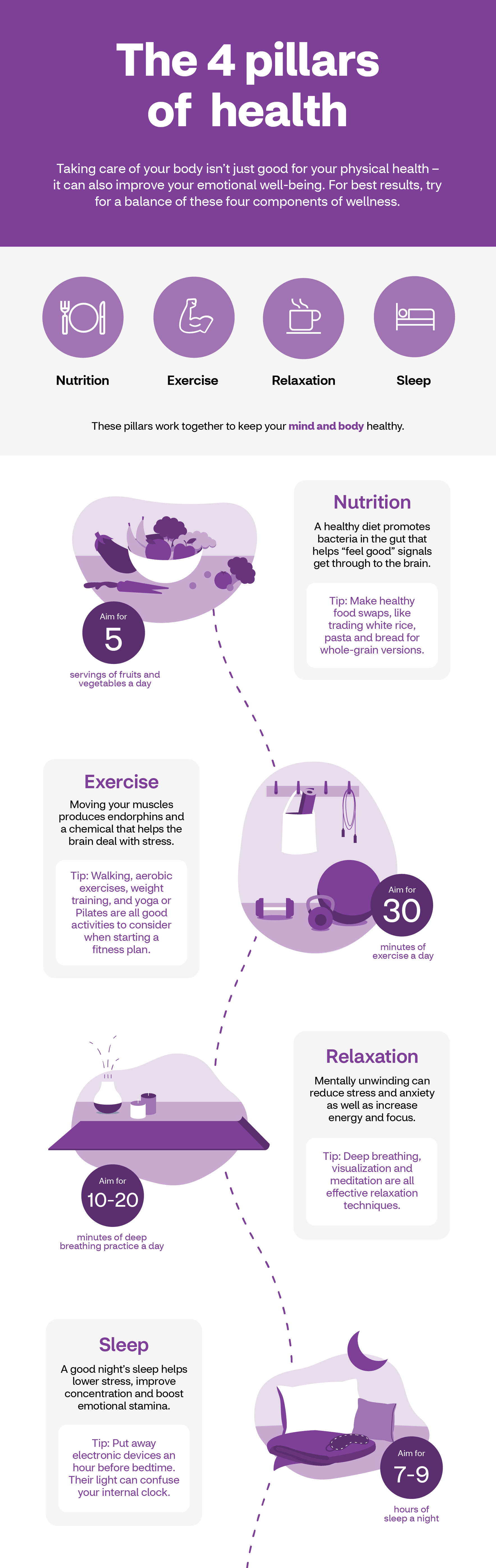 The 4 Pilliars of Health infographic